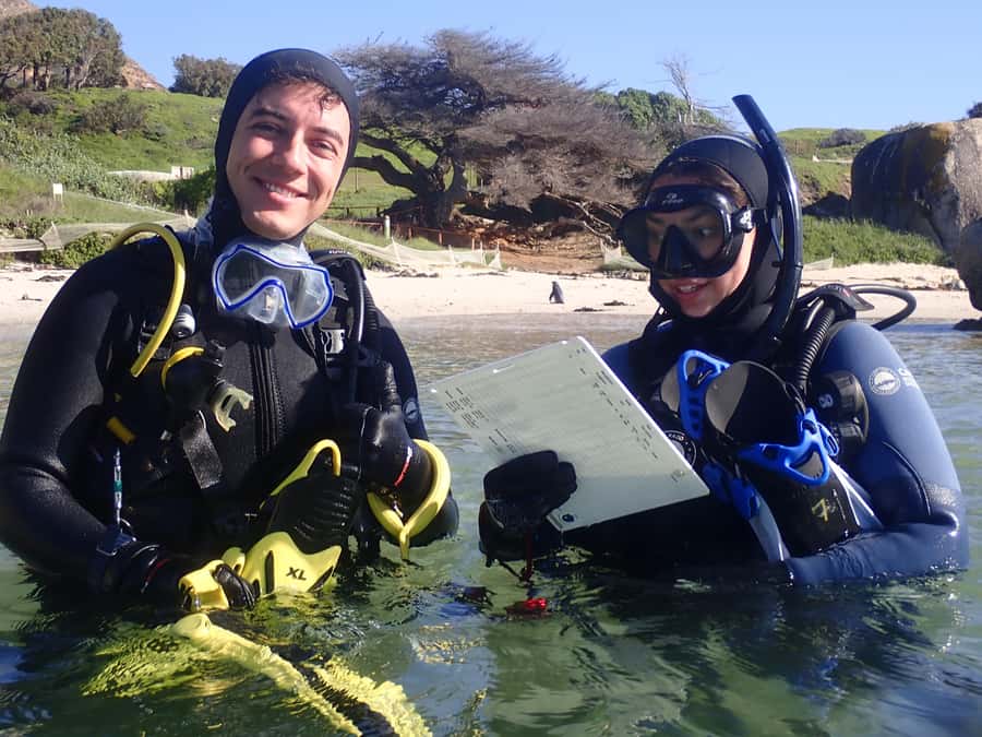 Cape Town: Shark Science SCUBA Diving Experience - Where the Time Actually Goes, The Kelp Forest Work in False Bay