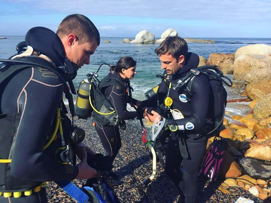 Cape Town: Shark Science SCUBA Diving Experience - Fin Spotter Shark Photos, What You Do Underwater and Why It Matters