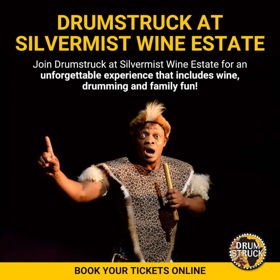 Cape Town: Silvermist Estate Wine Tasting & Drumstruck Show - Drumstruck: interactive African drumming you can actually do