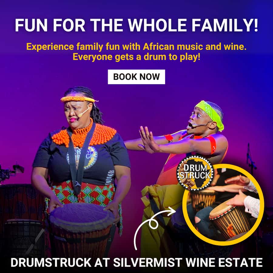Cape Town: Silvermist Estate Wine Tasting & Drumstruck Show - Optional braai and marimba band: extend the party, or keep it light