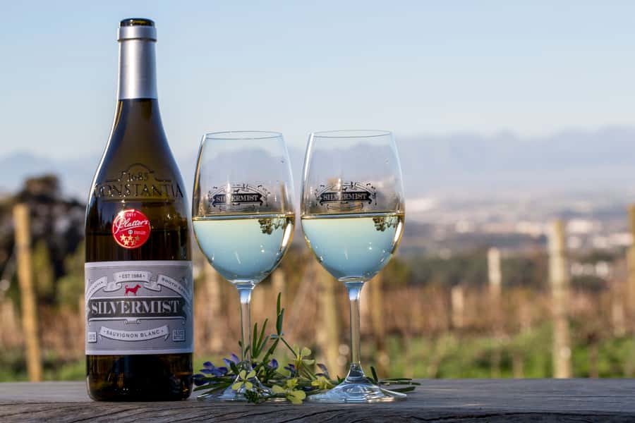 Cape Town: Silvermist Estate Wine Tasting & Drumstruck Show - Who this is perfect for, and who should think twice