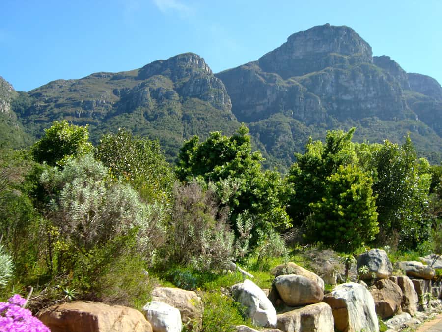 Cape Town: Skeleton Gorge and Kirstenbosch Gardens Hike - Why Skeleton Gorge Changes the Way You See Table Mountain