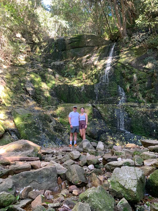 Cape Town: Skeleton Gorge and Kirstenbosch Gardens Hike - Kirstenbosch Gardens First: Fynbos, Then the Climb Begins