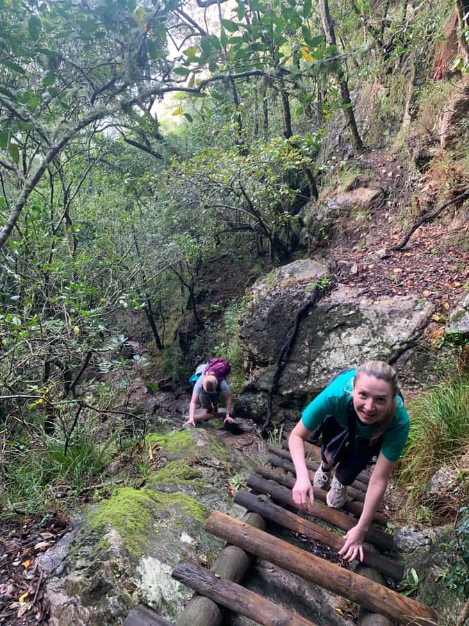 Cape Town: Skeleton Gorge and Kirstenbosch Gardens Hike - Inside the Kloof: Waterfalls, Ladders, and Cool Shade