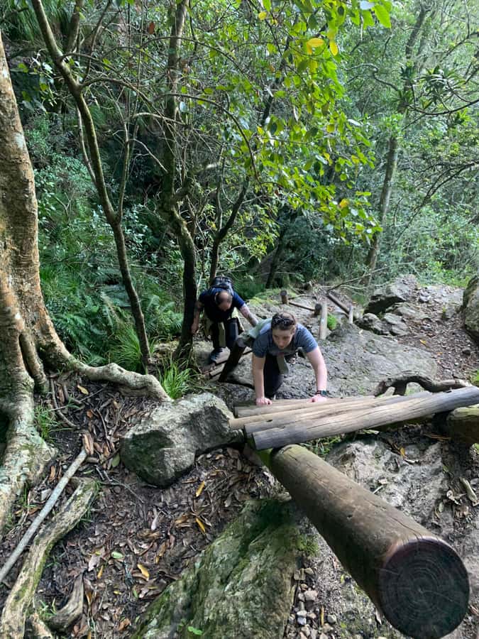 Cape Town: Skeleton Gorge and Kirstenbosch Gardens Hike - Pace, Fitness, and the Reality of 900 Meters Up