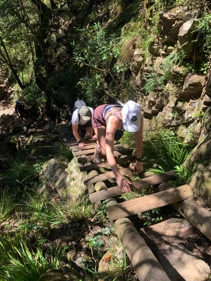 Cape Town: Skeleton Gorge and Kirstenbosch Gardens Hike - What to Bring for a Hot Cape Town Day (and Fast-Changing Weather)