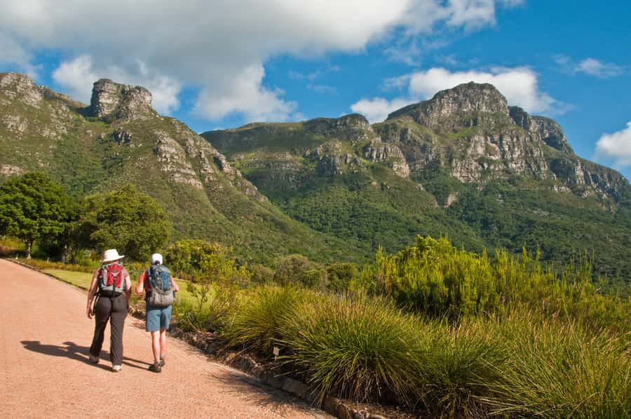Cape Town: Skeleton Gorge and Kirstenbosch Gardens Hike - Cable Car Down? It’s Not Built In