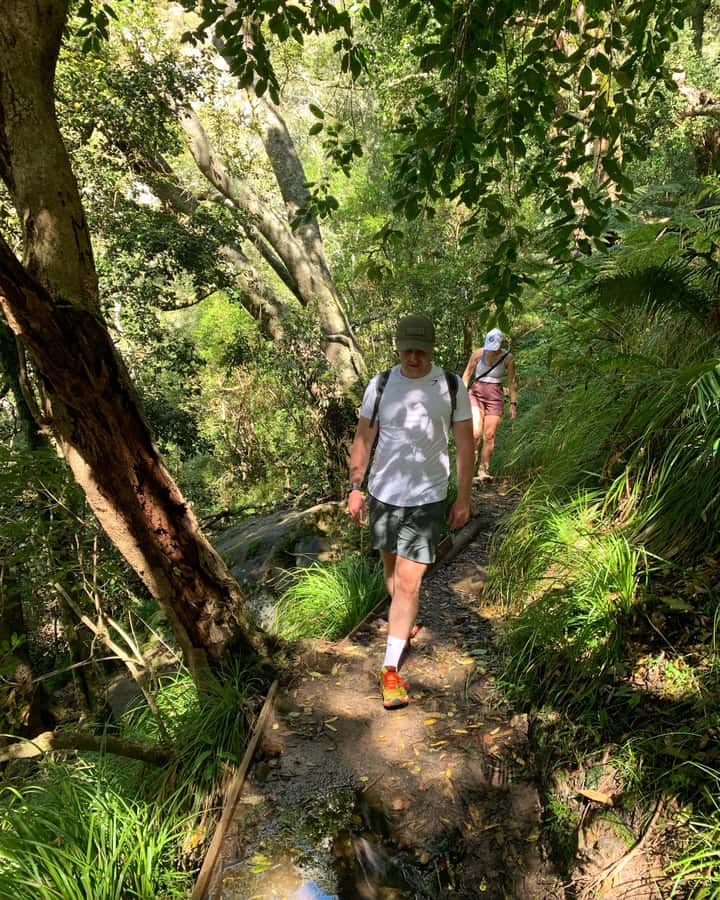 Cape Town: Skeleton Gorge and Kirstenbosch Gardens Hike - From Smuts Track to the Contour Path: The Route Setup