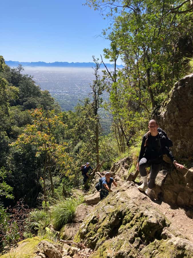Cape Town: Skeleton Gorge Hike to Table Mountain Summit - Key highlights worth your time