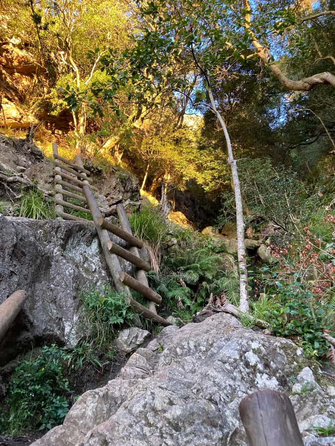 Cape Town: Skeleton Gorge Hike to Table Mountain Summit - Crossing the Table Mountain top to the upper cable station