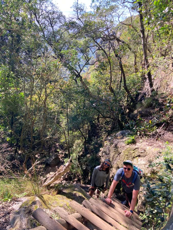 Cape Town: Skeleton Gorge Hike to Table Mountain Summit - What to bring, and what can slow you down on the mountain