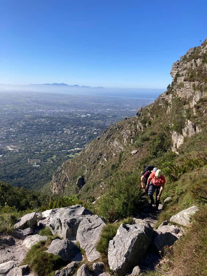Cape Town: Skeleton Gorge Hike to Table Mountain Summit - Skeleton Gorge climbing: shaded forest, steep steps, and ladders that keep you honest