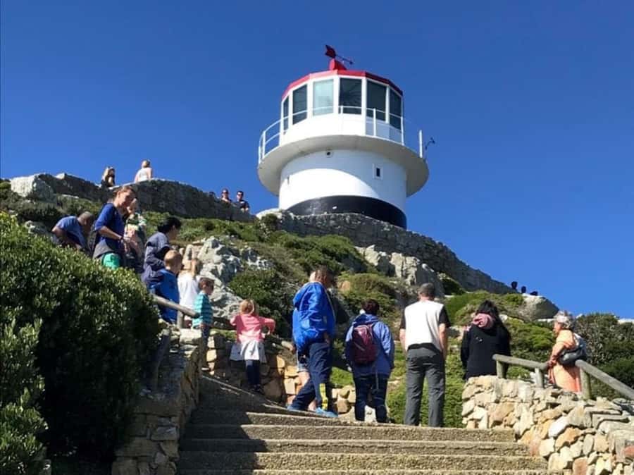 Cape Town: Some Attractions of the Cape (private & exclusiv) - Who this tour is best for