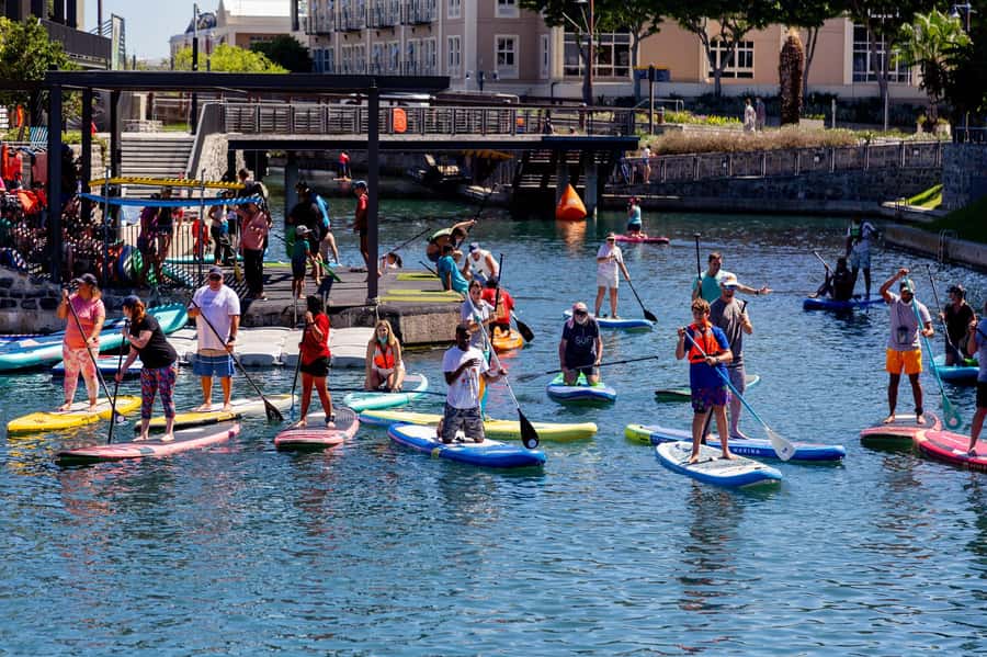 Cape Town: Stand-Up Paddle Board Rental with Basic Training - SUP at the V&A Waterfront: why Battery Park is a smart start
