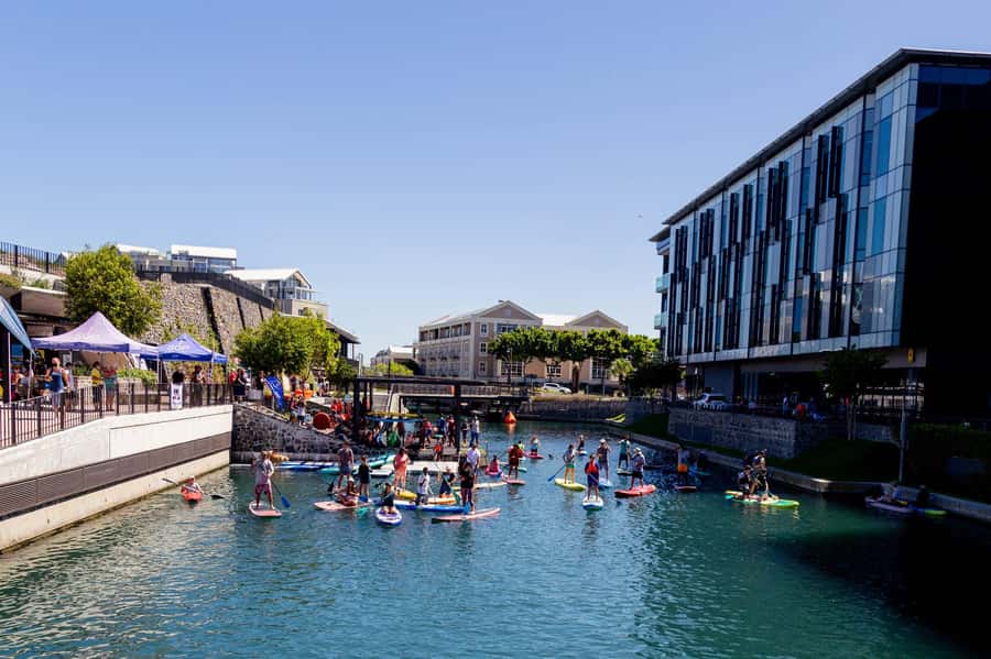Cape Town: Stand-Up Paddle Board Rental with Basic Training - A full-body workout you can actually feel