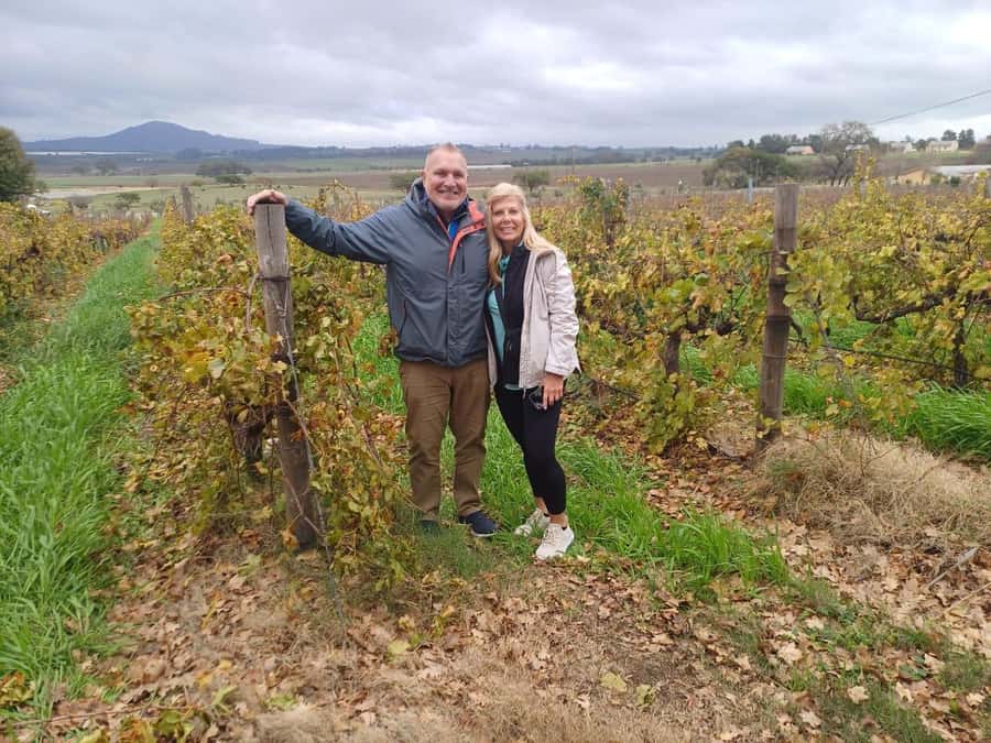 Cape Town: Stellenbosch and Paarl Half-Day Wine Tour - Key highlights worth your attention