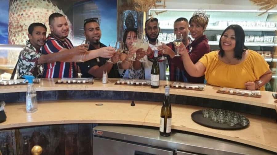 Cape Town: Stellenbosch, Franschhoek and Paarl Wine Day Trip - Key highlights to know before you go