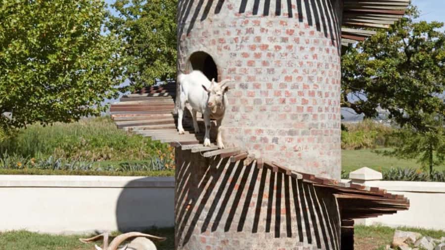 Cape Town: Stellenbosch, Franschhoek and Paarl Wine Day Trip - From Cape Town to Paarl: a cheese-and-wine start that sets the tone