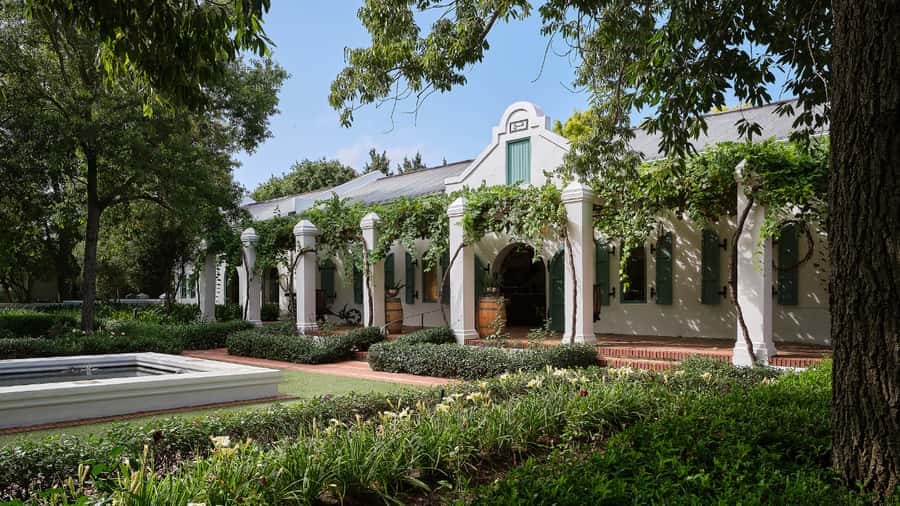 Cape Town: Stellenbosch, Franschhoek and Paarl Wine Day Trip - Stellenbosch on foot plus a la carte lunch: downtime without losing the day