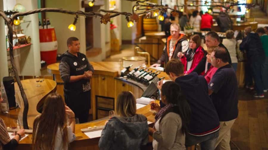 Cape Town: Stellenbosch, Franschhoek and Paarl Wine Day Trip - Price and logistics: what $96 buys you and who should book