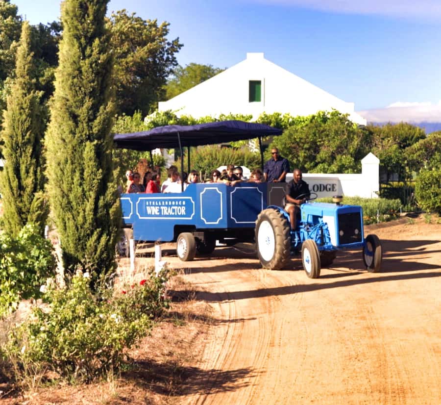 Cape Town: Stellenbosch Hop-On Hop-Off Tractor Transfer - Key highlights to know before you go