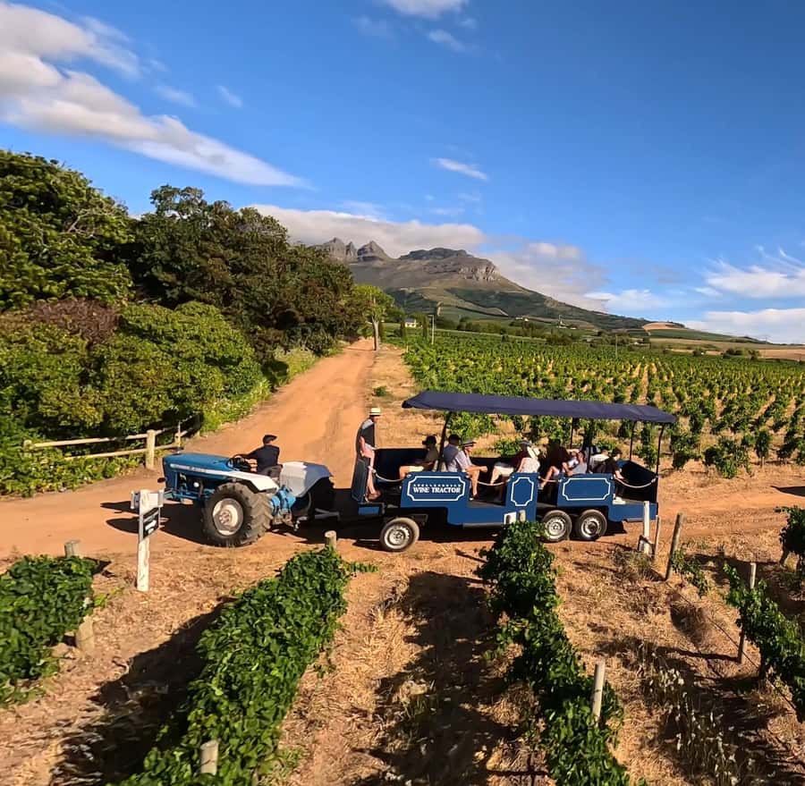 Cape Town: Stellenbosch Hop-On Hop-Off Tractor Transfer - Why a hop-on hop-off tractor works better than a bus