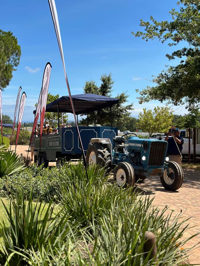 Cape Town: Stellenbosch Hop-On Hop-Off Tractor Transfer - What you actually do at each wine farm stop
