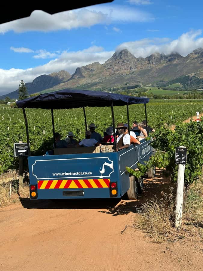Cape Town: Stellenbosch Hop-On Hop-Off Tractor Transfer - Quick decision guide, should you book this tractor tour