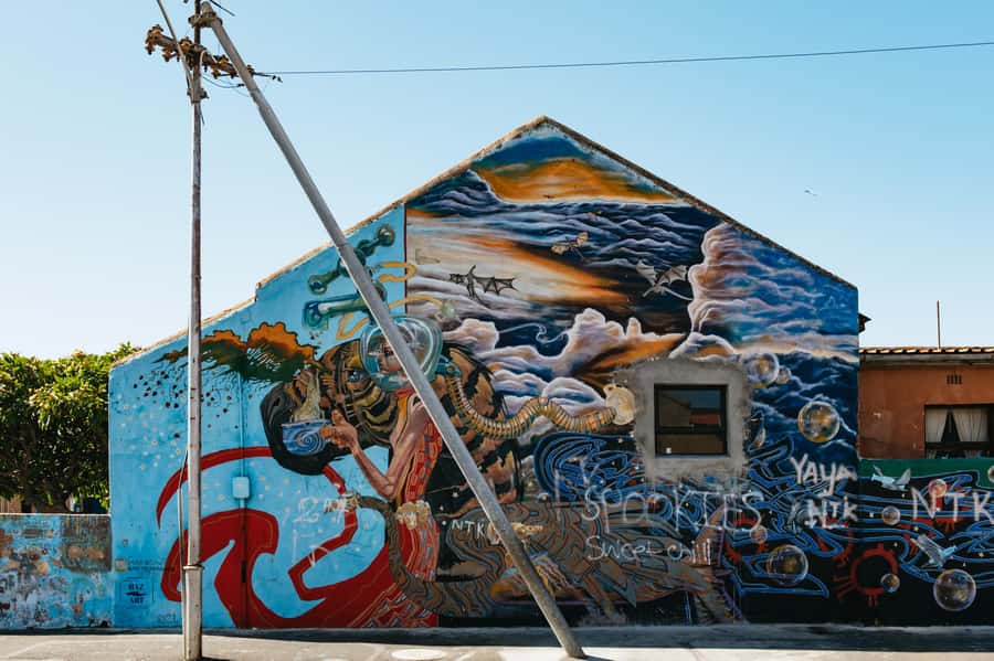 Cape Town: Street Art Walking Tour in Woodstock - Salt Orchard (Unit B10) and the Coffee Stop That Keeps Energy High