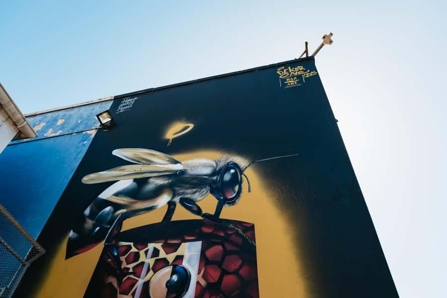 Cape Town: Street Art Walking Tour in Woodstock - Finishing Walk Through Woodstock and Salt River