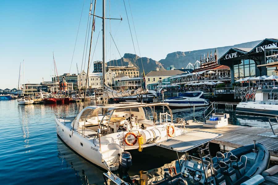 Cape Town: Sunset Catamaran Cruise on Table Bay with Bubbles - Who should book this cruise