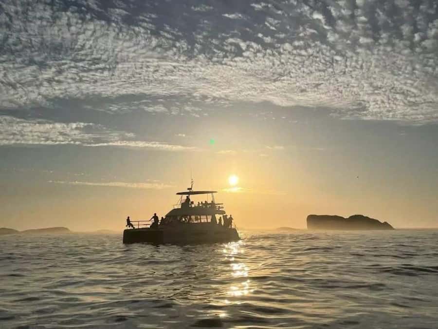 Cape Town: Sunset Champagne Cruise - Key things I’d know before you go