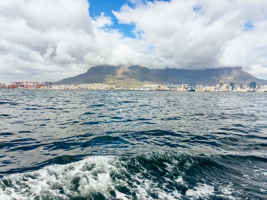 Cape Town: Sunset Champagne Cruise - What to wear and what to bring for a windy cruise