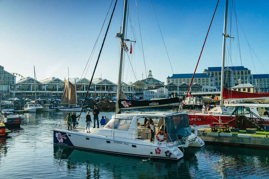 Cape Town: Sunset Champagne Cruise and 3-Course Dinner - Should You Book This Sunset Champagne Cruise With Dinner?