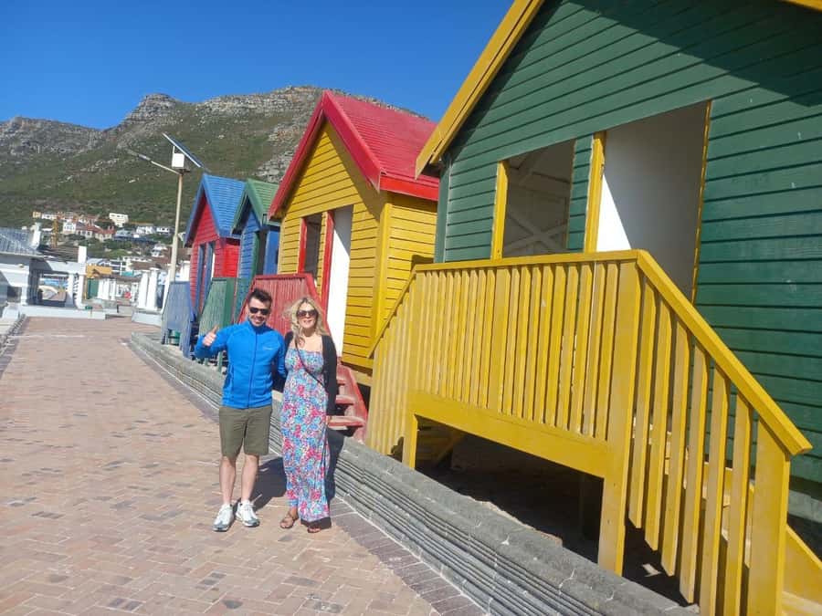 Cape Town: Sunset Penguins & Cape of Good Hope Half-Day Tour - The penguin moment at Boulders Beach (and how the walk feels)