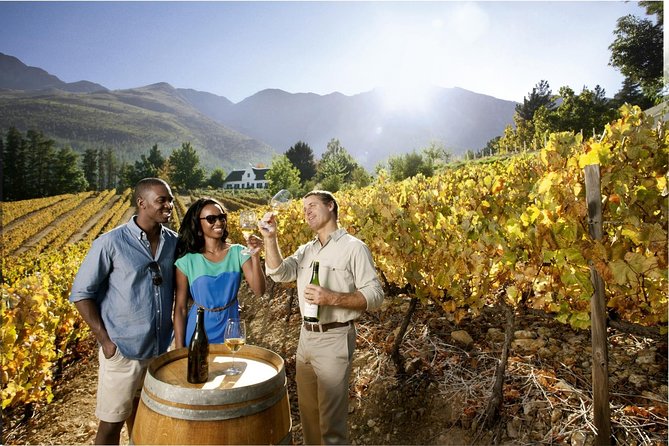 Cape Town Super Saver: Cape Point Tour plus Wine Tasting in Stellenbosch - Small-group pacing you can actually enjoy