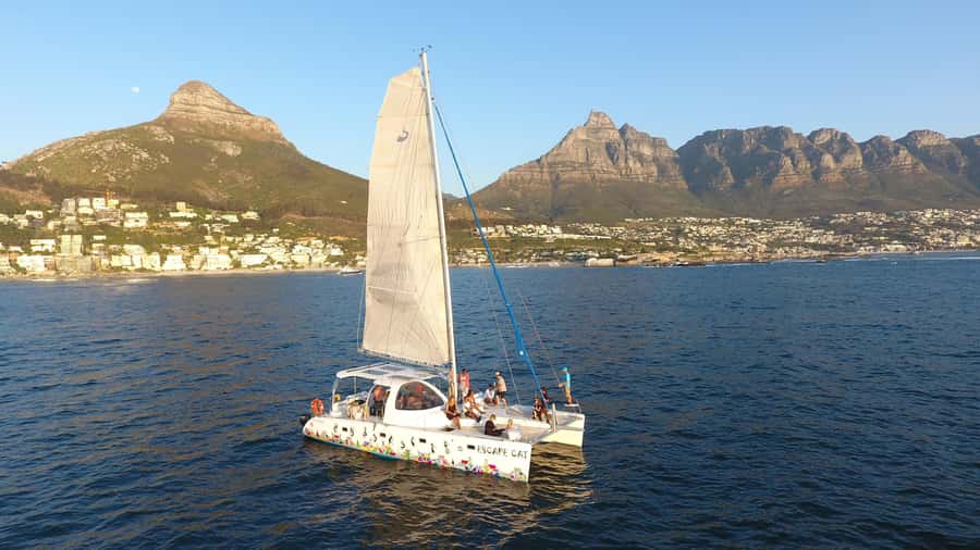 Cape Town: Table Bay Cruise by Catamaran - Cape Town Table Bay, why this 1-hour cruise is a smart use of time