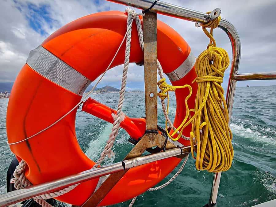 Cape Town: Table Bay Cruise by Catamaran - Views you can count on, Table Mountain plus the city in motion