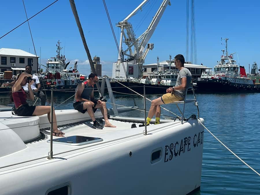 Cape Town: Table Bay Cruise by Catamaran - Who should book this catamaran sail