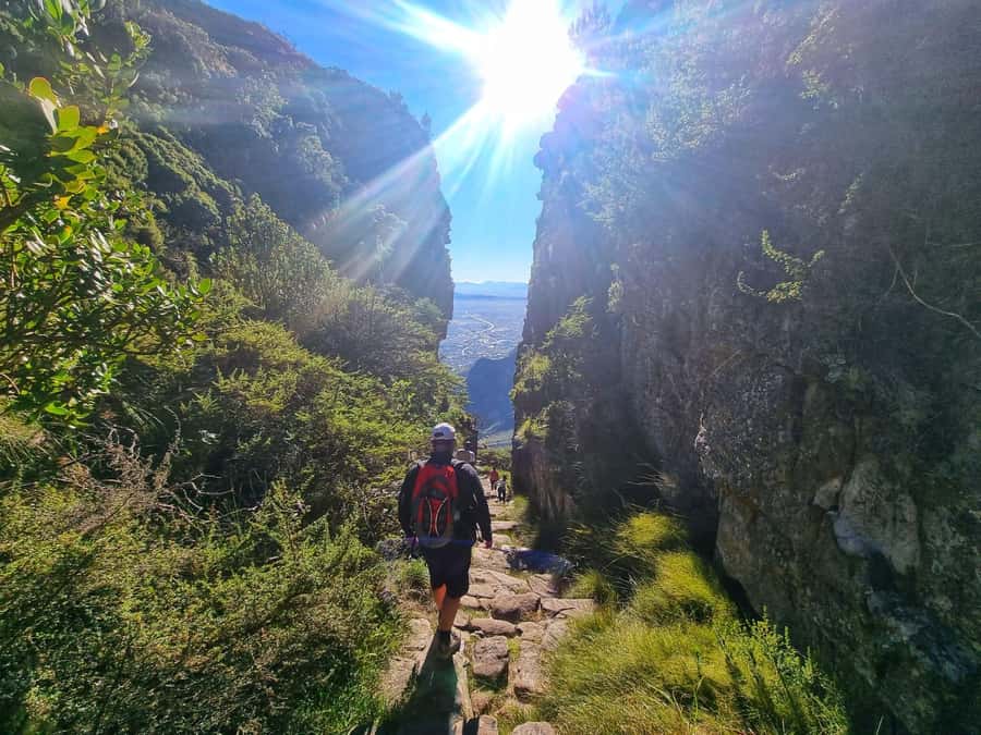 Cape Town: Table Mountain Abseil and Hike - Up Platteklip Gorge: a hard climb that sets up the payoff