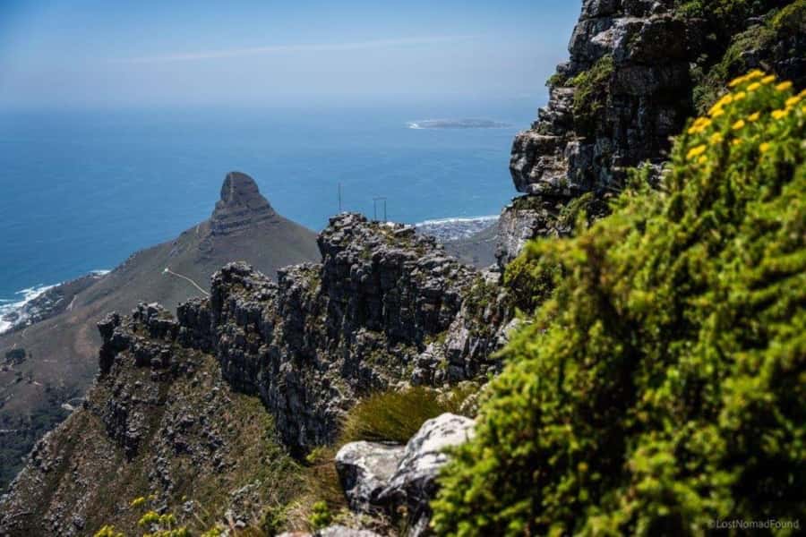 Cape Town: Table Mountain Abseiling Experience - Should you book this Table Mountain abseiling experience?