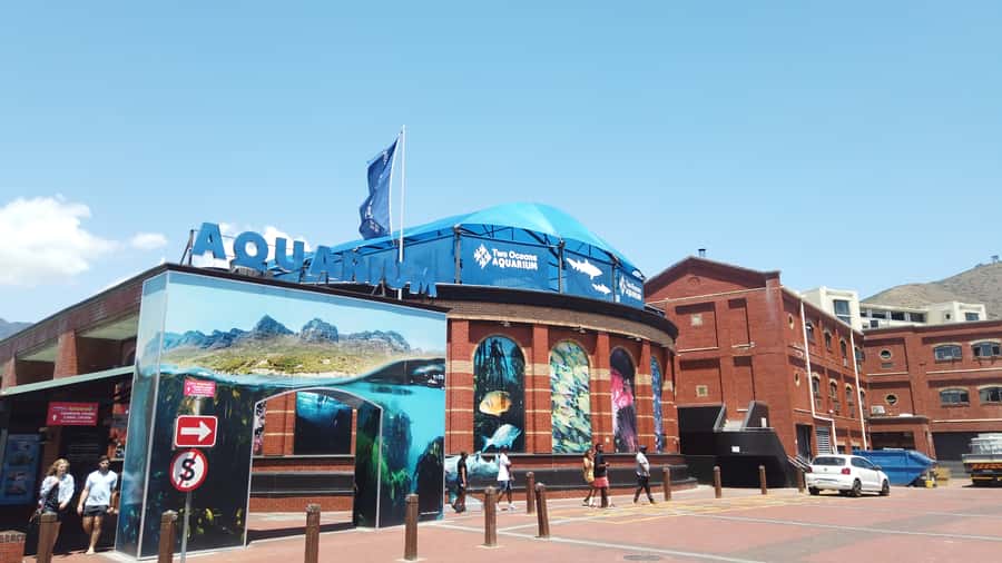 Cape Town: Table Mountain and Robben Island Tour - Lunch, free time at the Waterfront, and how to plan your evening