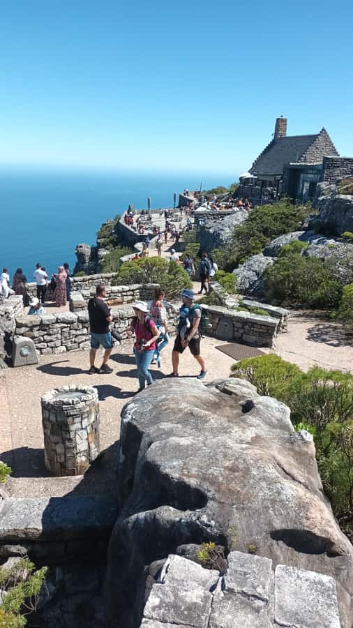 Cape Town: Table Mountain Cable Car Ticket - Fynbos Trails, Walk Options, and a Real Sense of Place