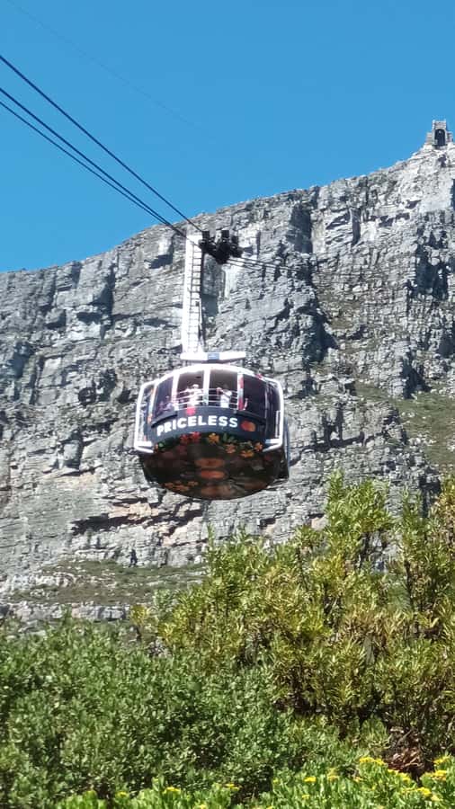 Cape Town: Table Mountain Cable Car Ticket - Sunset on the Summit: How to Time It for Maximum Magic