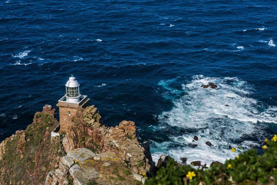 Cape Town: Table Mountain & Cape of Good Hope Full-Day Tour - Boulders Beach Penguins: Boardwalk Viewing That Feels Respectful