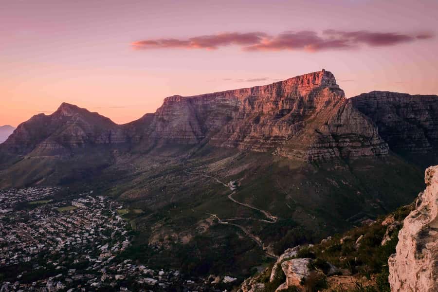 Cape Town: Table Mountain, Cape Point, and Penguins Tour - Table Mountain cable car: fast ascent, big-picture views