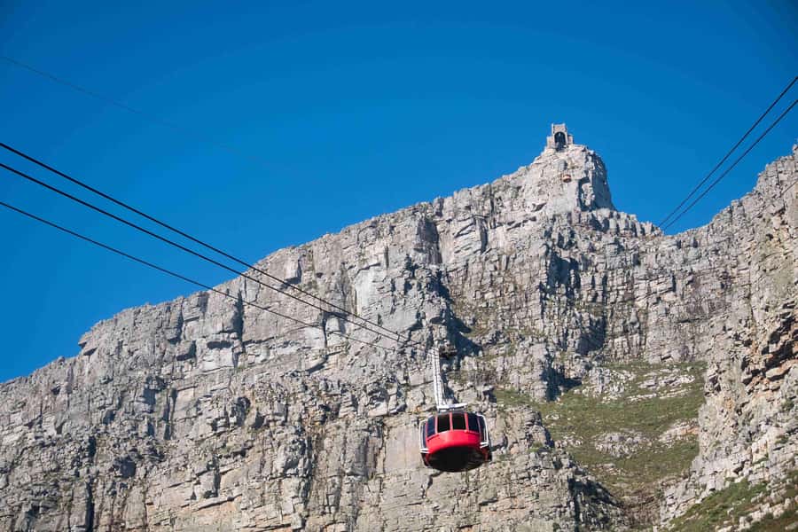 Cape Town: Table Mountain, Cape Point, and Penguins Tour - Chapmans Peak Drive: scenic road without the stress