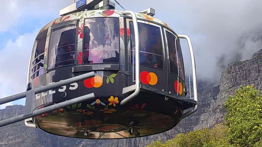 Cape Town: Table Mountain, Cape Point, & Penguins Group Tour - Quick Hits Before You Go