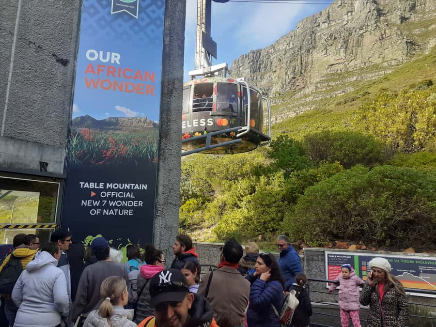 Cape Town: Table Mountain, Cape Point, & Penguins Group Tour - The Value Mix: Big Sights, One Day, One Bus