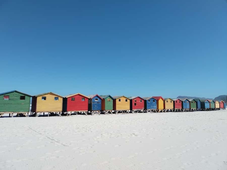 Cape Town: Table Mountain, Cape Point, & Penguins Group Tour - Cape Point and Cape of Good Hope: Lighthouse Views and the Real End of the Line